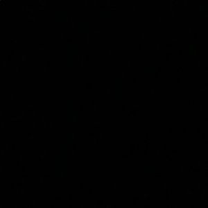 Meet your Posher, Cam